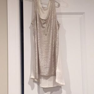 Express metallic silver tank top